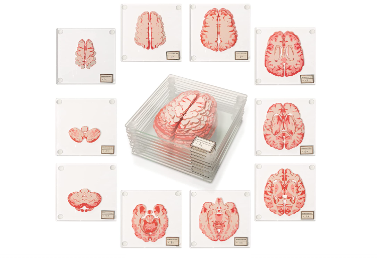 18 Best Gifts for Doctors 18 Best Gifts for Doctors